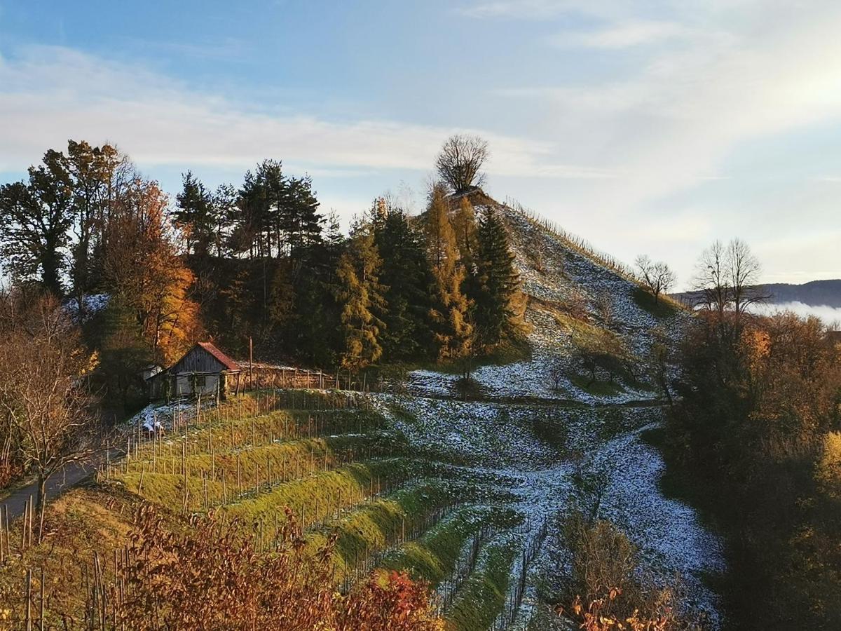 Hill Cottage Haloze Gruskovec Екстериор снимка