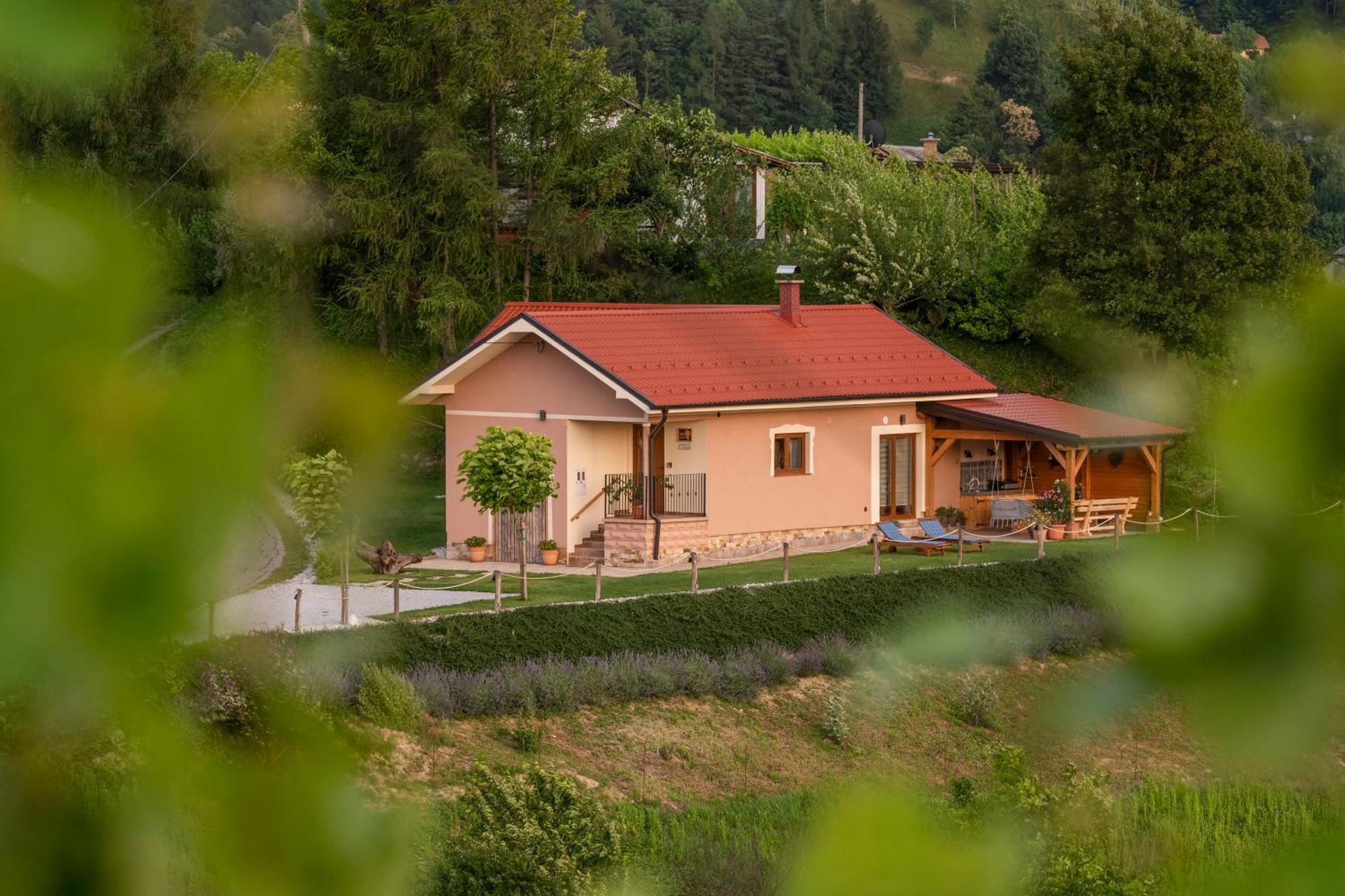 Hill Cottage Haloze Gruskovec Екстериор снимка