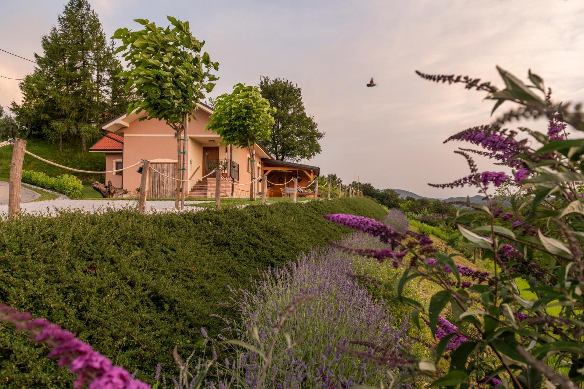 Hill Cottage Haloze Gruskovec Екстериор снимка